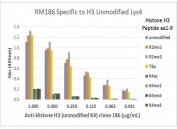 Histone H3 Antibody / Unmodified Lysine 4 Chromatin Reference Antibody (clone RM186) specificity analysis. Peptide binding assay demonstrating selective recognition of HIST1H3A / Histone H3 unmodified at Lys4 (H3K4 unmodified). Strong signal is observed with the unmodified Lys4 peptide, while no detectable reactivity is seen with acetylated, monomethylated, dimethylated, or trimethylated Lys4 peptides. Binding is retained in the presence of adjacent modifications including Arg2 and Thr3, confirming high specificity for the unmodified Lys4 state and suitability for quantitative analysis of H3K4 modification dynamics.