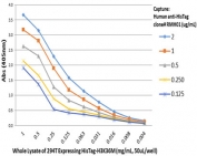 Recombinant His-Tag Chimeric Human Antibody Sandwich ELISA. A sandwich ELISA was performed using Recombinant His-Tag Chimeric Human Antibody clone RMH01 as the capture antibody at concentrations ranging from 0.125-2 ug/mL. Whole lysates from HEK293T cells expressing His-tagged Histone H3 K36M were added as the antigen, followed by an anti-Histone H3 antibody for detection. Absorbance was measured at 405 nm. Increasing concentrations of the capture antibody produced correspondingly stronger ELISA signals, demonstrating efficient capture of the His-tagged recombinant protein over a broad concentration range. These results show that Recombinant His-Tag Chimeric Human Antibody is well suited for sandwich ELISA applications using anti-human IgG-compatible detection systems.