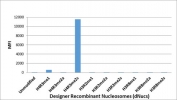 H4R3me2s Antibody Specificity Analysis. Luminex assay using Designer Recombinant Nucleosomes (dNucs) demonstrating selective recognition of HIST1H4 / Histone H4 arginine 3 symmetric dimethylation (H4R3me2s). Strong signal is observed exclusively with nucleosomes containing the R3 symmetric dimethyl modification, while minimal to no reactivity is detected with unmodified or alternative arginine modification states, confirming high specificity for the PRMT5-associated symmetric dimethyl H4R3 chromatin mark.