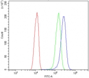 Flow cytometry testing of human A431 cells with Annexin A1 antibody at 1ug/million cells (blocked with goat sera); Red=cells alone, Green=isotype control, Blue= Annexin A1 antibody.