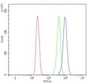 CD44 Antibody HL60 Cell FACS. Flow cytometry analysis of CD44 / CD44 antigen expression in human HL60 cells using rabbit polyclonal antibody at 1 ug per million cells following blocking with goat sera. The CD44 antibody-stained population (blue) demonstrates a clear right-shift compared to cells alone (red) and isotype control (green), indicating strong cell surface expression of CD44. The distinct separation between populations supports its use for identifying, gating, and quantifying CD44-positive leukocyte populations in flow cytometry assays.