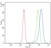 Flow cytometry testing of human Caco-2 cells with TNF alpha antibody at 1ug/million cells (blocked with goat sera); Red=cells alone, Green=isotype control, Blue= TNF alpha antibody.