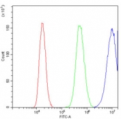 Galectin Antibody PC-3 Flow Cytometry. Flow cytometry analysis of human PC-3 cells stained with Galectin antibody at 1 ug/million cells demonstrates a marked rightward shift of the positive population (blue) relative to the isotype control (green) and unstained cells (red). The observed fluorescence profile is consistent with expression of Galectin-1 (LGALS1), a beta-galactoside-binding lectin involved in immune regulation, cell adhesion, apoptosis, angiogenesis, and tumor microenvironment signaling. The clear separation between antibody-stained and control populations supports specific detection of endogenous Galectin-1 in PC-3 cells and demonstrates the utility of this Galectin antibody for flow cytometric analysis. Cells were blocked with goat sera prior to staining.