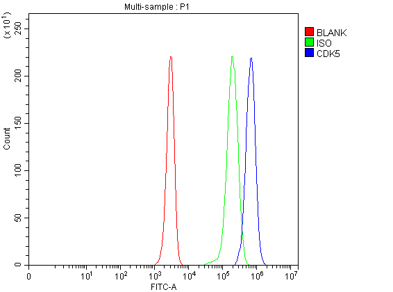 CDK5 Antibody Jurkat Cell FACS. Flow cytometric analysis of fixed and permeabilized human Jurkat cells stained with CDK5 antibody. Red: blank control. Green: rabbit IgG isotype control. Blue: CDK5 antibody. The rightward shift of the antibody-stained population relative to the isotype control demonstrates specific intracellular detection of Cyclin Dependent Kinase 5 (CDK5), a neuronal protein kinase that regulates protein phosphorylation, cytoskeletal organization, intracellular signaling, neuronal development, and synaptic plasticity.