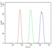 Flow cytometry testing of fixed and permeabilized human HL60 cells with MCM2 antibody at 1ug/million cells (blocked with goat sera); Red=cells alone, Green=isotype control, Blue= MCM2 antibody.