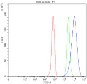 DPYD Antibody HepG2 Cells FACS. Flow cytometric analysis of fixed and permeabilized human HepG2 cells was performed using DPYD antibody at 1 ug per million cells following blocking with goat sera. DPYD, also known as Dihydropyrimidine Dehydrogenase and a Pyrimidine Metabolism Enzyme, catalyzes the rate limiting step in pyrimidine catabolism and plays a critical role in fluoropyrimidine drug metabolism. Red histogram: cells alone. Green histogram: isotype control. Blue histogram: DPYD antibody. The pronounced rightward shift of the DPYD antibody signal relative to the controls demonstrates specific detection of endogenous DPYD expression in HepG2 cells. These results support the utility of DPYD Antibody for studies of nucleotide metabolism, pharmacogenomics, and cancer biology.