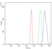 Aryl Hydrocarbon Receptor Antibody A431 Cells FACS. Flow cytometric analysis of human A431 cells was performed using an Aryl Hydrocarbon Receptor antibody at 1 ug per million cells following blocking with goat sera. AHR, also known as an Environmental Sensor Protein, is a ligand activated transcription factor that mediates cellular responses to xenobiotics, microbial metabolites, and endogenous signaling molecules. Red histogram: cells alone. Green histogram: isotype control. Blue histogram: Aryl Hydrocarbon Receptor antibody. The pronounced rightward shift of the AHR antibody signal relative to the controls demonstrates specific detection of endogenous AHR expression in A431 cells. These results support the utility of AHR Antibody for studies of toxicology, immune regulation, environmental sensing, and signal transduction pathways.