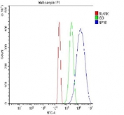 Flow cytometry testing of fixed and permeabilized human HL60 cells with Nucleophosmin antibody at 1ug/million cells (blocked with goat sera); Red=cells alone, Green=isotype control, Blue= Nucleophosmin antibody.