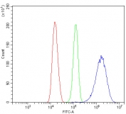Flow cytometry testing of fixed and permeabilized human Caco-2 cells with p53 antibody at 1ug/million cells (blocked with goat sera); Red=cells alone, Green=isotype control, Blue= p53 antibody.