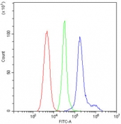 CD23 Antibody Rabbit Polyclonal Mouse PBMC FACS. Flow cytometry testing of mouse PBMs with CD23 antibody at 1ug/10^6 cells (blocked with goat sera); Red=cells alone, Green=isotype control, Blue= CD23 antibody.