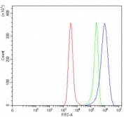 Flow cytometry testing of human Daudi cells with CD10 antibody at 1ug/million cells (blocked with goat sera); Red=cells alone, Green=isotype control, Blue= CD10 antibody.