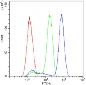 Flow cytometry testing of human SiHa cells with p27KIP1 antibody at 1ug/10^6 cells (blocked with goat sera); Red=cells alone, Green=isotype control, Blue= p27KIP1 antibody.