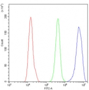 MCM7 Antibody A431 Cells FACS. Flow cytometry testing of human A431 cells with MCM7 antibody at 1ug/million cells (blocked with goat sera); Red=cells alone, Green=isotype control, Blue= MCM7 antibody.