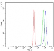 Flow cytometry testing of human HepG2 cells with ABCB4 antibody at 1ug/10^6 cells (blocked with goat sera); Red=cells alone, Green=isotype control, Blue=ABCB4 antibody.