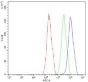 Dystrophin Antibody FACS. Flow cytometry testing of human HepG2 cells with Dystrophin antibody at 1ug/10^6 cells (blocked with goat sera); Red=cells alone, Green=isotype control, Blue= Dystrophin antibody.