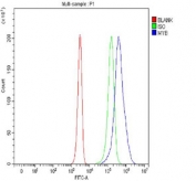 Flow cytometry testing of fixed and permeabilized human Jurkat cells with c-Myb antibody at 1ug/million cells (blocked with goat sera); Red=cells alone, Green=isotype control, Blue= c-Myb antibody.