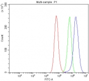 Flow cytometry testing of fixed and permeabilized human A549 cells with NEDD9 antibody at 1ug/million cells (blocked with goat sera); Red=cells alone, Green=isotype control, Blue= NEDD9 antibody.