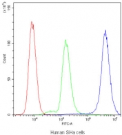 Flow cytometry testing of human SiHa cells with PPP1R12A antibody at 1ug/10^6 cells (blocked with goat sera); Red=cells alone, Green=isotype control, Blue=PPP1R12A antibody.