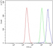 Flow cytometry testing of human MCF7 cells with Pokemon antibody at 1ug/million cells (blocked with goat sera); Red=cells alone, Green=isotype control, Blue= Pokemon antibody.