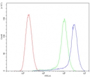 Cathepsin D Antibody FACS. Flow cytometry testing of human SiHa cells with Cathepsin D antibody at 1ug/million cells (blocked with goat sera); Red=cells alone, Green=isotype control, Blue= Cathepsin D antibody.