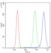 Galectin 1 Antibody PC-3 Flow Cytometry. Flow cytometry analysis of human PC-3 cells stained with Galectin 1 antibody at 1 ug/million cells demonstrates a clear rightward shift of the positive population (blue) relative to both the isotype control (green) and unstained cells (red). The observed fluorescence profile is consistent with expression of Galectin-1 (LGALS1), a beta-galactoside-binding lectin involved in immune regulation, cell adhesion, apoptosis, angiogenesis, and glycan-mediated signaling pathways. The distinct separation between antibody-stained and control populations supports specific detection of endogenous Galectin-1 and demonstrates the utility of this antibody for flow cytometric analysis of LGALS1 expression. Cells were blocked with goat sera prior to staining.