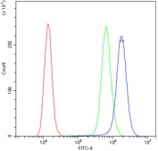 Flow cytometry testing of human A431 cells with IDO1 antibody at 1ug/10^6 cells (blocked with goat sera); Red=cells alone, Green=isotype control, Blue= IDO1 antibody.