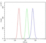Flow cytometry testing of human U-87 MG cells with RASGAP antibody at 1ug/million cells (blocked with goat sera); Red=cells alone, Green=isotype control, Blue= RASGAP antibody.
