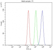 Flow cytometry testing of fixed and permeabilized human SiHa cells with STAT3 antibody at 1ug/million cells (blocked with goat sera); Red=cells alone, Green=isotype control, Blue= STAT3 antibody.