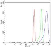 MKK3 Antibody / p38 MAP Kinase Kinase Antibody CACO-2 Flow Cytometry. Flow cytometric analysis of fixed and permeabilized human CACO-2 cells using MKK3 Antibody / p38 MAP Kinase Kinase Antibody at 1 ug/10^6 cells. Cells were blocked with goat serum prior to staining. Red: cells alone; Green: isotype control; Blue: MKK3 antibody. The distinct rightward shift of the MKK3 antibody population relative to the isotype control demonstrates specific intracellular detection of MKK3, supporting its use for flow cytometric analysis of this stress-responsive kinase involved in p38 MAPK activation, inflammatory signaling, apoptosis, and cellular responses to environmental stress.