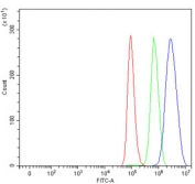 MUNC18-1 Antibody Human A549 FACS. Flow cytometric analysis of human A549 cells using MUNC18-1 antibody at 1 ug/10^6 cells following blocking with goat sera. Red: cells alone. Green: isotype control. Blue: MUNC18-1 antibody. The MUNC18-1 antibody produces a clear rightward shift in fluorescence intensity relative to the isotype control, demonstrating specific detection of endogenous MUNC18-1/STXBP1 expression in A549 cells.