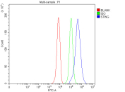 STING Antibody for FACS flow cytometry analysis of human cells. Flow cytometric analysis of fixed human HepG2 cells using STING Antibody for FACS at 1 ug per million cells demonstrates intracellular detection of Stimulator of interferon genes protein / STING1 (TMEM173). Cells were blocked with goat sera prior to antibody staining and analyzed following fluorescent secondary detection. The blue histogram represents STING antibody staining and shows a clear rightward fluorescence shift relative to the green isotype control, confirming specific detection of intracellular STING protein. The red histogram represents unstained cells and defines baseline autofluorescence levels in the HepG2 population.