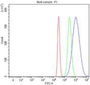 Flow cytometry testing of fixed and permeabilized human HepG2 cells with UBE2Q2 antibody at 1ug/million cells (blocked with goat sera); Red=cells alone, Green=isotype control, Blue= UBE2Q2 antibody.