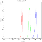 Flow cytometry testing of human 293T cells with Smac antibody at 1ug/million cells (blocked with goat sera); Red=cells alone, Green=isotype control, Blue= Smac antibody.