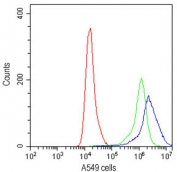 CD27 Antibody for FACS. Flow cytometry analysis of CD27 / TNFRSF7 expression in human A549 cells using CD27 Antibody. Cells stained with CD27 antibody (blue) show a right-shifted population compared to isotype control (green) and unstained cells (red), indicating detectable CD27 signal under these conditions. The distribution supports evaluation of CD27 expression and background separation in non-lymphoid cell contexts and complements its use as a lymphoid tissue architecture marker for assessing immune cell localization in flow cytometry studies.