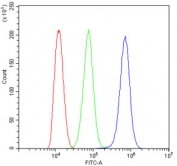 Flow cytometry testing of human ThP1 cells with GAL4 antibody at 1ug/10^6 cells (blocked with goat sera); Red=cells alone, Green=isotype control, Blue= GAL4 antibody.