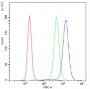 Flow cytometry testing of fixed and permeabilized human A431 cells with TCP1 epsilon antibody at 1ug/million cells (blocked with goat sera); Red=cells alone, Green=isotype control, Blue= TCP1 epsilon antibody.