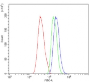 Flow cytometry testing of human Caco-2 cells with ABAT antibody at 1ug/million cells (blocked with goat sera); Red=cells alone, Green=isotype control, Blue= ABAT antibody.