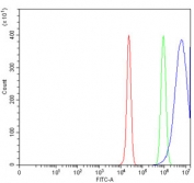 Flow cytometry testing of human HepG2 cells with AKR1C1/2 antibody at 1ug/million cells (blocked with goat sera); Red=cells alone, Green=isotype control, Blue= AKR1C1/2 antibody.