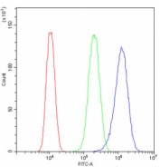 Flow cytometry testing of human U-87 MG cells with GP78 antibody at 1ug/million cells (blocked with goat sera); Red=cells alone, Green=isotype control, Blue= GP78 antibody.