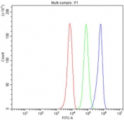 Flow cytometry testing of  fixed human HepG2 cells with APOC3 antibody at 1ug/10^6 cells (blocked with goat sera); Red=cells alone, Green=isotype control, Blue= APOC3 antibody.