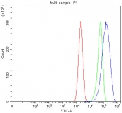 EpCAM Antibody FACS. Flow cytometry testing of fixed human Caco-2 cells with EpCAM antibody at 1ug/million cells (blocked with goat sera); Red=cells alone, Green=isotype control, Blue= EpCAM antibody.