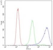 Flow cytometry testing of human A431 cells with Calpastatin antibody at 1ug/10^6 cells (blocked with goat sera); Red=cells alone, Green=isotype control, Blue=Calpastatin antibody.