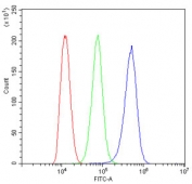 DBI Antibody THP-1 FACS. Flow cytometry analysis of human THP-1 cells using DBI antibody demonstrates a clear rightward shift in fluorescence intensity compared to the isotype control, consistent with detection of DBI / Diazepam binding inhibitor, a lipid-binding protein involved in acyl-CoA transport, metabolic regulation, and neurosteroid-associated signaling; red histogram represents cells alone, green histogram represents isotype control, and blue histogram represents DBI antibody staining.