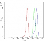 Flow cytometry testing of fixed and permeabilized human 293T cells with ST7 antibody at 1ug/million cells (blocked with goat sera); Red=cells alone, Green=isotype control, Blue= ST7 antibody.