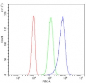 Flow cytometry testing of human PC-3 cells with DR5 antibody at 1ug/million cells (blocked with goat sera); Red=cells alone, Green=isotype control, Blue= DR5 antibody.