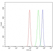 Flow cytometry testing of fixed and permeabilized human Caco-2 cells with AGR2 antibody at 1ug/million cells (blocked with goat sera); Red=cells alone, Green=isotype control, Blue= AGR2 antibody.