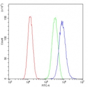 ALDH1A3 Antibody U-87 MG FACS. Flow cytometry analysis of fixed and permeabilized human U-87 MG cells using ALDH1A3 antibody demonstrates a distinct rightward shift of the antibody-stained population relative to the isotype control, consistent with expression of Aldehyde Dehydrogenase 1 Family Member A3 (ALDH1A3). Also known as retinaldehyde dehydrogenase 3 (RALDH3), ALDH1A3 is an NAD-dependent enzyme involved in retinoic acid synthesis and regulation of cellular differentiation pathways. The observed staining profile supports expression of ALDH1A3 in U-87 MG cells and demonstrates the utility of this antibody for flow cytometric analysis of intracellular proteins associated with retinoid metabolism, stem cell biology, and cancer-associated cellular plasticity. Cells were fixed, permeabilized, and stained with 1 ug antibody per million cells following blocking with goat sera. Red = cells alone, green = isotype control, blue = ALDH1A3 antibody.