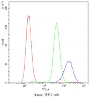 Cyclophilin A Antibody THP-1 Flow Cytometry. Flow cytometric analysis of human THP-1 cells stained with Cyclophilin A Antibody / Protein Folding Chaperone Antibody demonstrates a pronounced rightward shift of the antibody-stained population (blue) compared with both the isotype control (green) and unstained cells (red). The observed fluorescence pattern is consistent with expression of Cyclophilin A (PPIA), a highly conserved peptidyl-prolyl cis-trans isomerase that functions as a molecular chaperone involved in protein folding, intracellular signaling, and cellular stress response pathways. The clear separation between positive and control populations supports specific detection of endogenous Cyclophilin A by flow cytometry. Cells were blocked with goat serum and stained with Cyclophilin A antibody at 1 ug/10^6 cells. Red = cells alone, Green = isotype control, Blue = Cyclophilin A antibody.