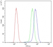 Flow cytometry testing of human SiHa cells with TMEM107 antibody at 1ug/10^6 cells (blocked with goat sera); Red=cells alone, Green=isotype control, Blue= TMEM107 antibody.