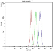 Flt3 Antibody Mouse RAW264.7 FACS. Flow cytometry testing of fixed mouse RAW264.7 cells with Flt3 antibody at 1ug/million cells (blocked with goat sera); Red=cells alone, Green=isotype control, Blue= Flt3 antibody.